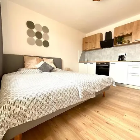 C.4 V Bankovnim Dome Appartement