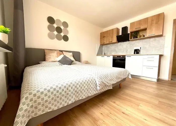 C.4 V Bankovnim Dome Apartment